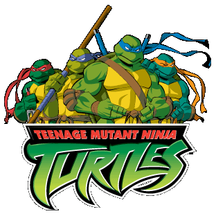 Afbeeldingsresultaat voor teenage mutant ninja turtles cartoon network