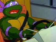 original turtle van