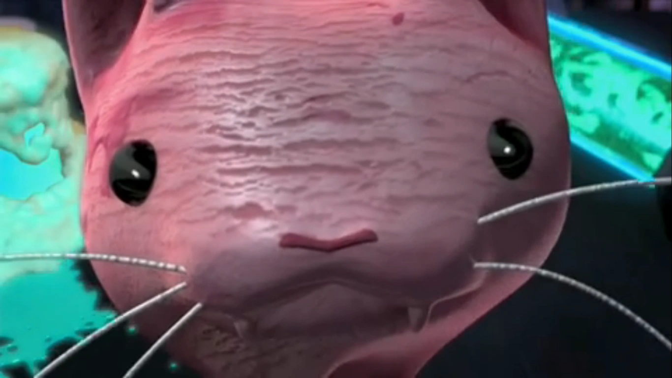 Image Ice cream kitty!!!.png TMNT Wiki Fandom powered by Wikia