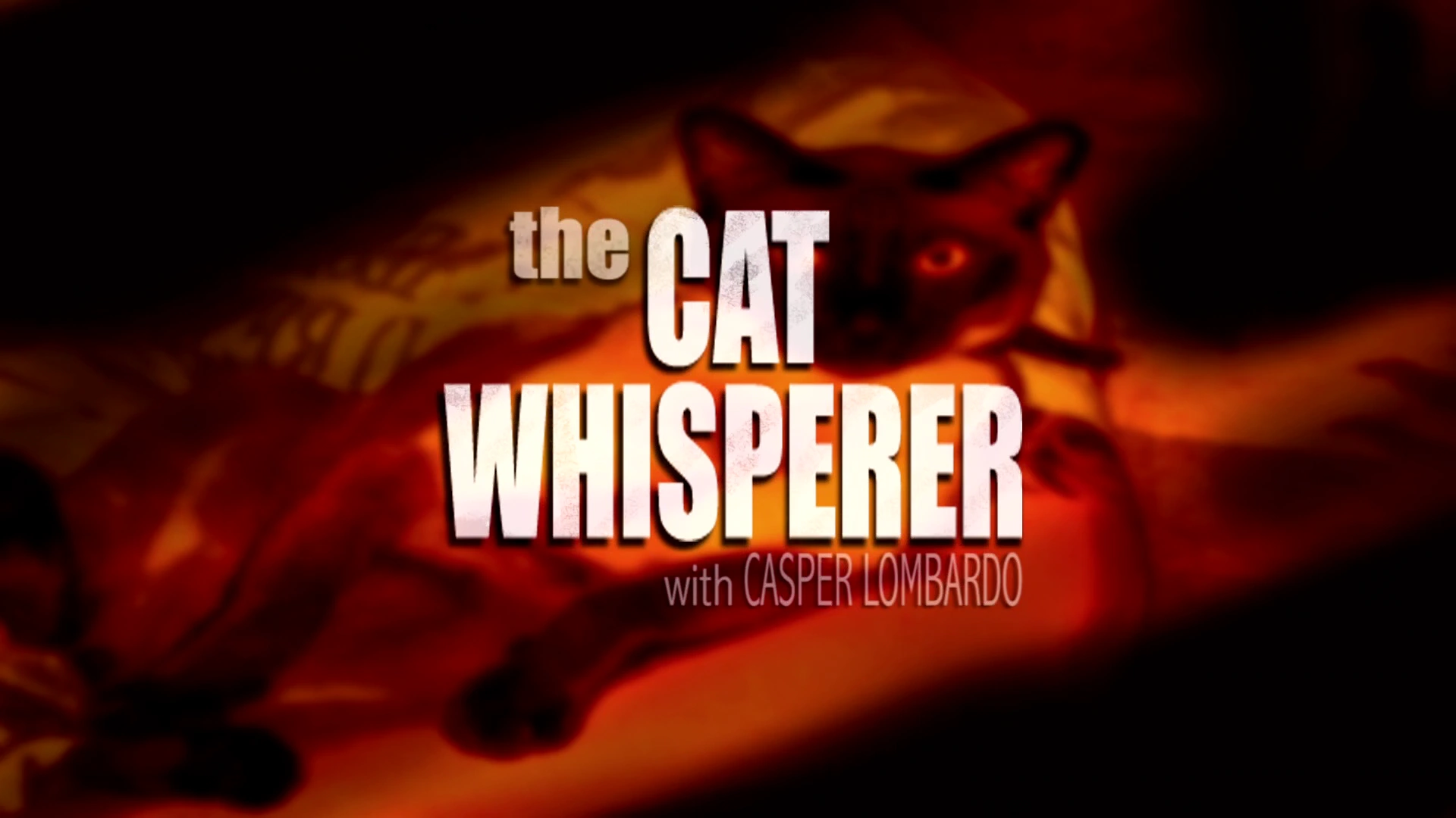 The Cat Whisperer Tom and Jerry Wiki FANDOM powered by Wikia