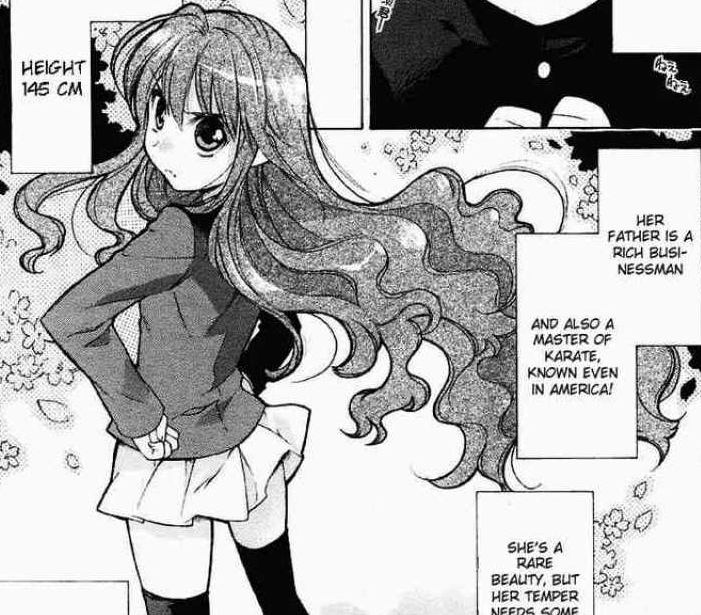 how does the toradora light novel end
