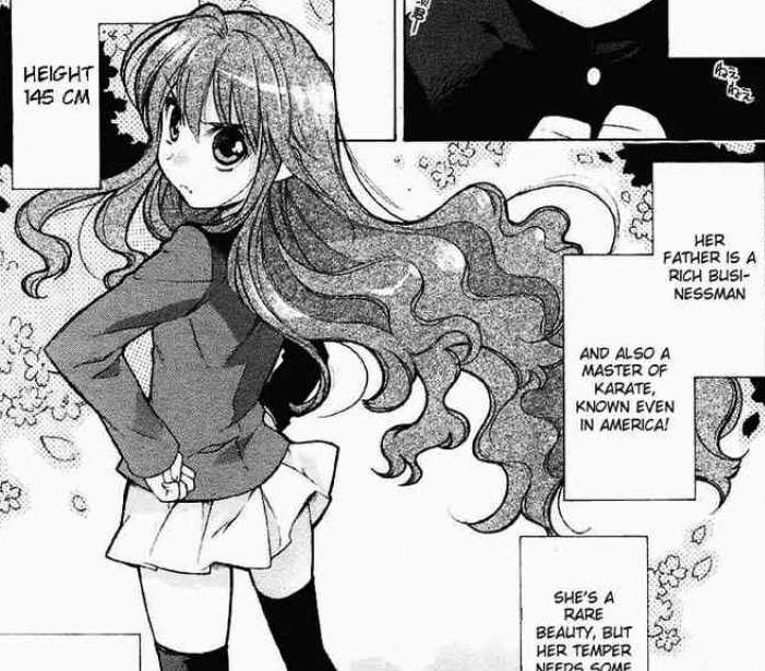 Toradora! ending explained: What happened between Ryuuji and Taiga? 