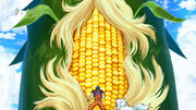 BB Corn 1