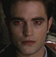 Edward newborn jpg