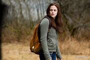 Bella swan luna nueva