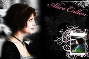 Alice Cullen Wallpaaper by KristenElise