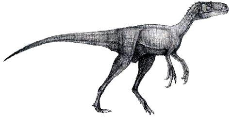 Resultado de imagen de iliosuchus