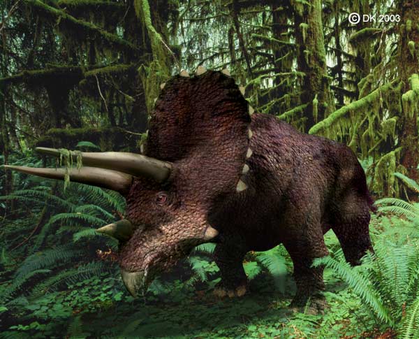 triceratops with 1 horn