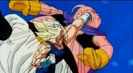 Majin vegeta vs buu