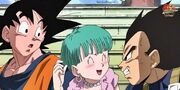 Bulma and the Saiyans
