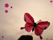 Red Butterfly by sugardealer