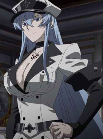 Esdeath has appeared in Akame Zero : r/AkameGaKILL