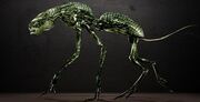 Visitor Alien
