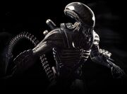 Zzz Mkx alien r2