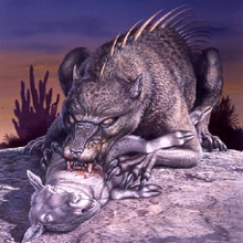 Chupacabra