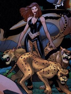 346px-Cheetah 02