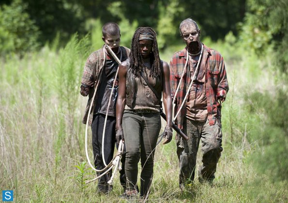 http://vignette3.wikia.nocookie.net/walkingdead/images/5/58/409_Michonne_Pet_Walkers.jpg/revision/latest?cb=20140125001428