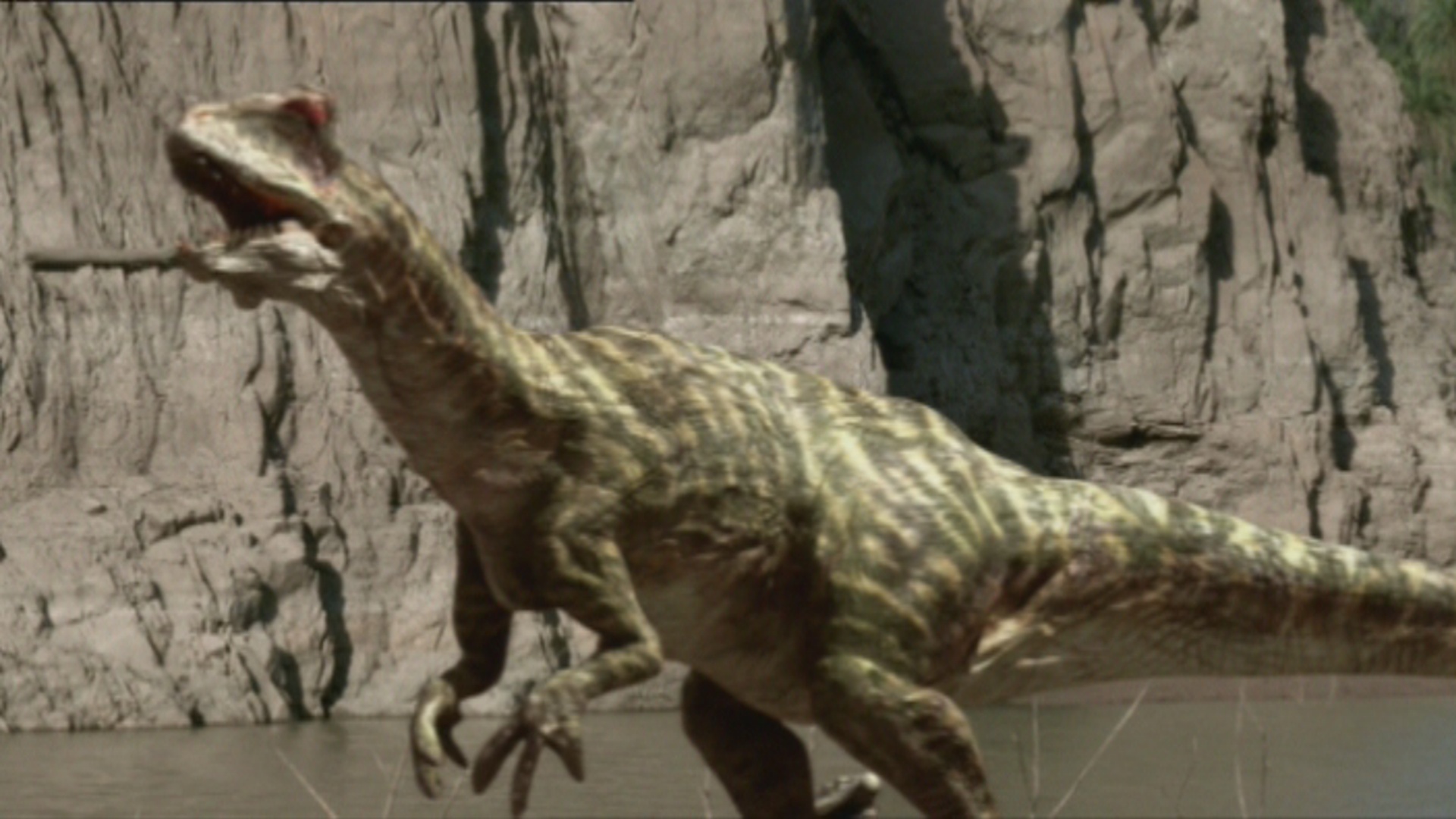 allosaurus velociraptor