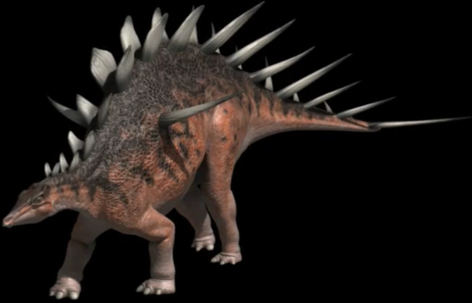 kentrosaurus fossil