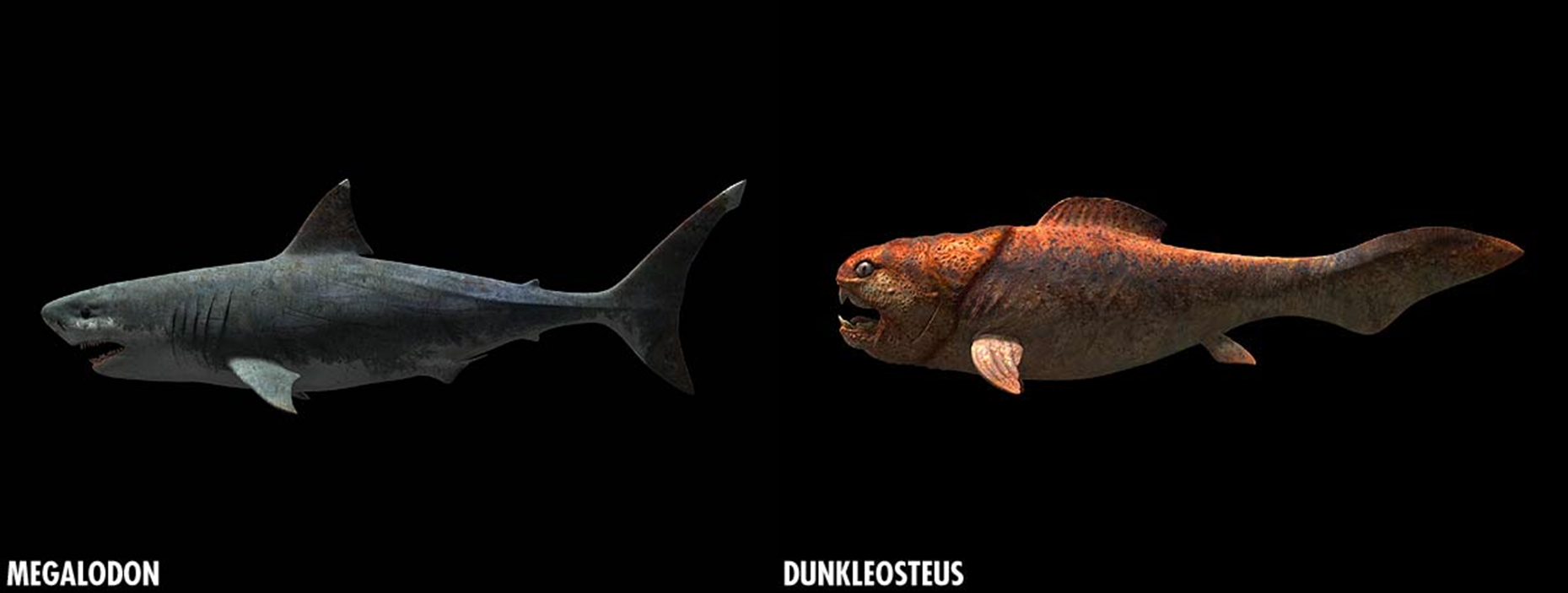 walking with dinosaurs megalodon