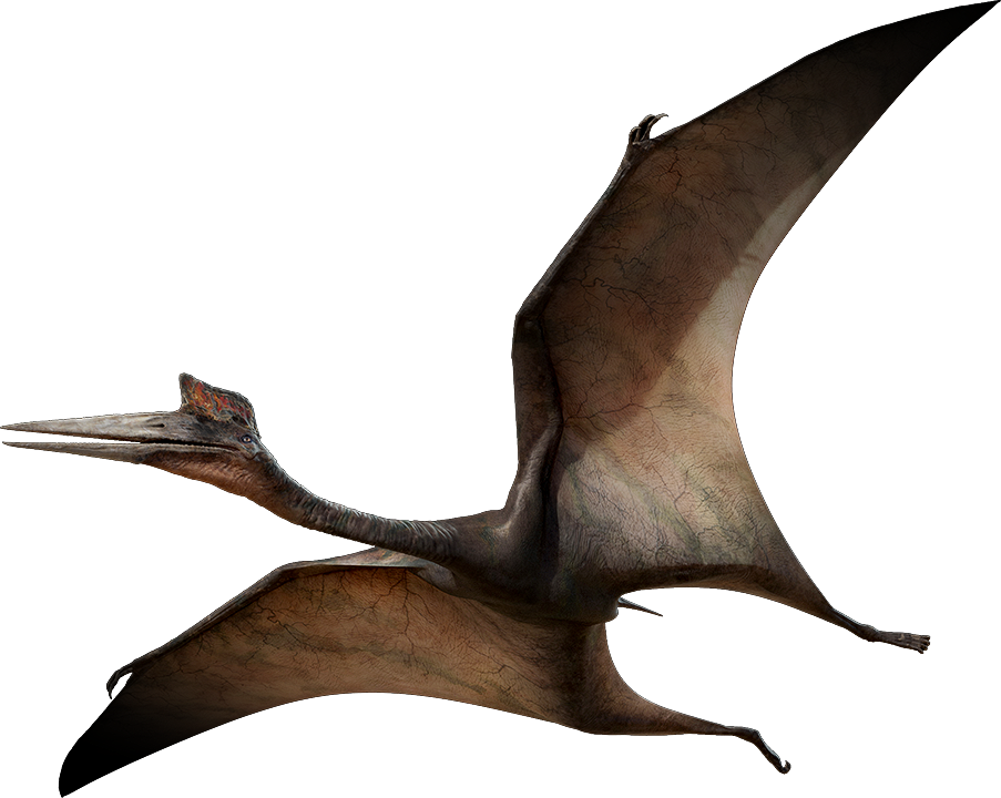 azhdarchid pterosaurs