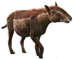 animals walking horse extinct wiki early wikia dinosaurs species creature wwb latest