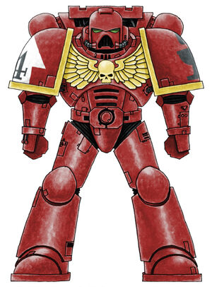 BD Battle Brother