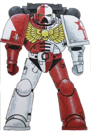 Crusaders Astartes