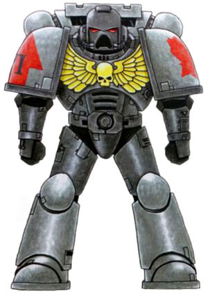 Contenders Astartes