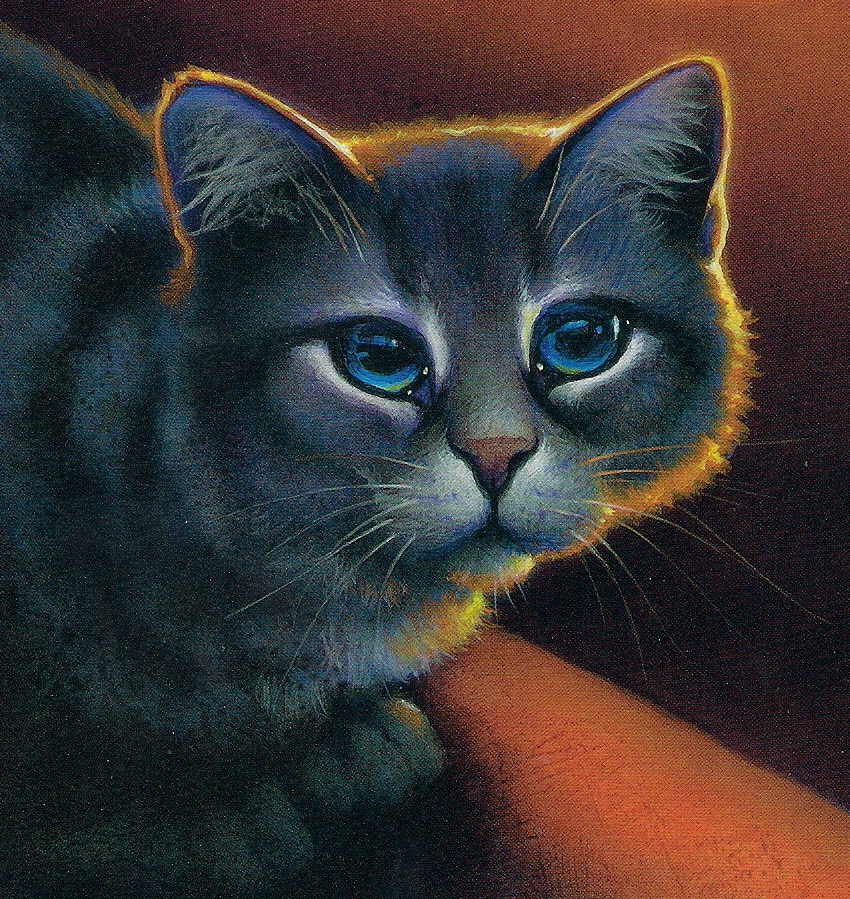 Warrior Cats Bilder Warrior Cats Bilder