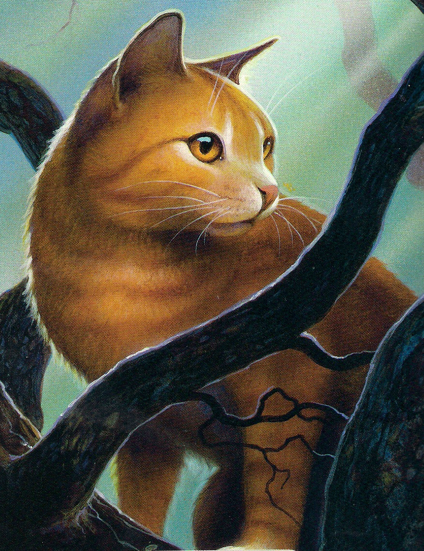Warrior Cats Thunderstar Warrior Cats Thunderstar