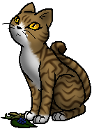 Warrior Cats Rindengesicht Warrior Cats Rindengesicht