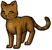 Warrior Cats Dandelionkit Warrior Cats Dandelionkit
