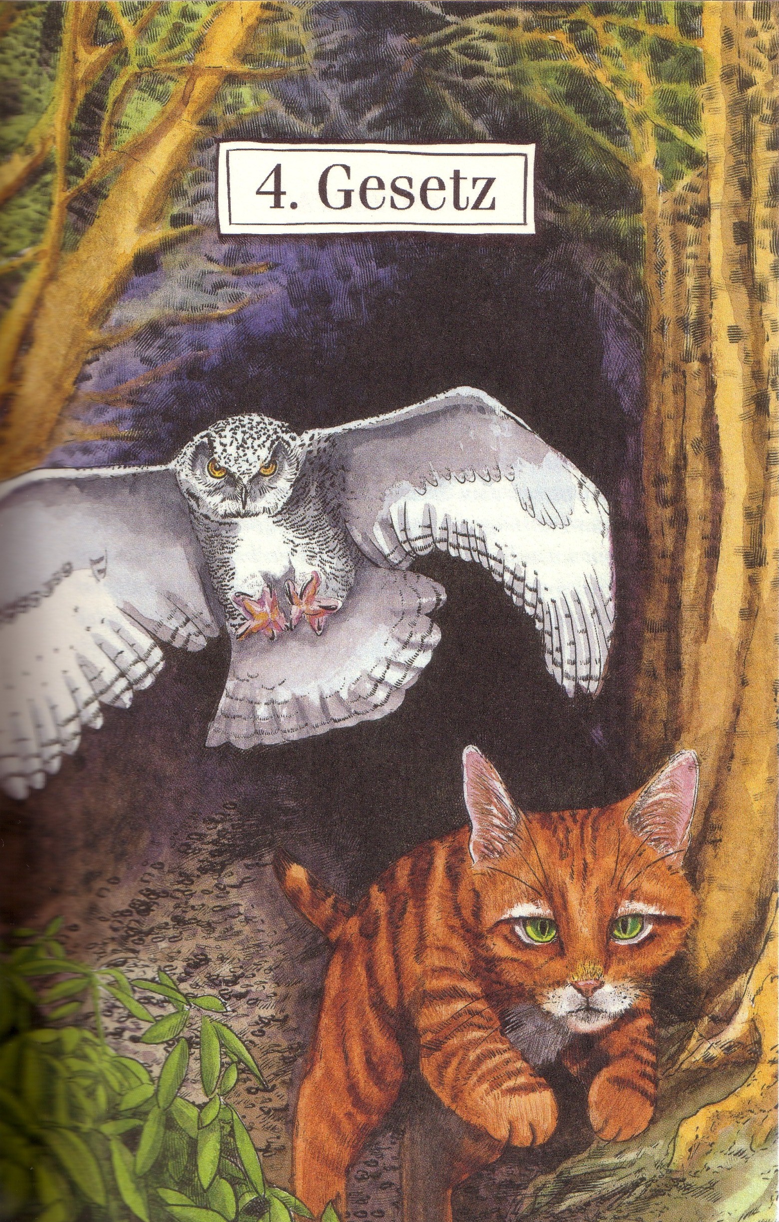 http://vignette3.wikia.nocookie.net/warrior-cats/images/b/b2/Gesetz_4.jpg/revision/latest?cb=20111203105742&path-prefix=de