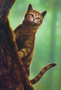 Warrior Cats Feuersterns Mission Hierarchie Warrior Cats Feuersterns Mission Hierarchie
