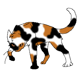Hummel Warrior Cats Hummel Warrior Cats