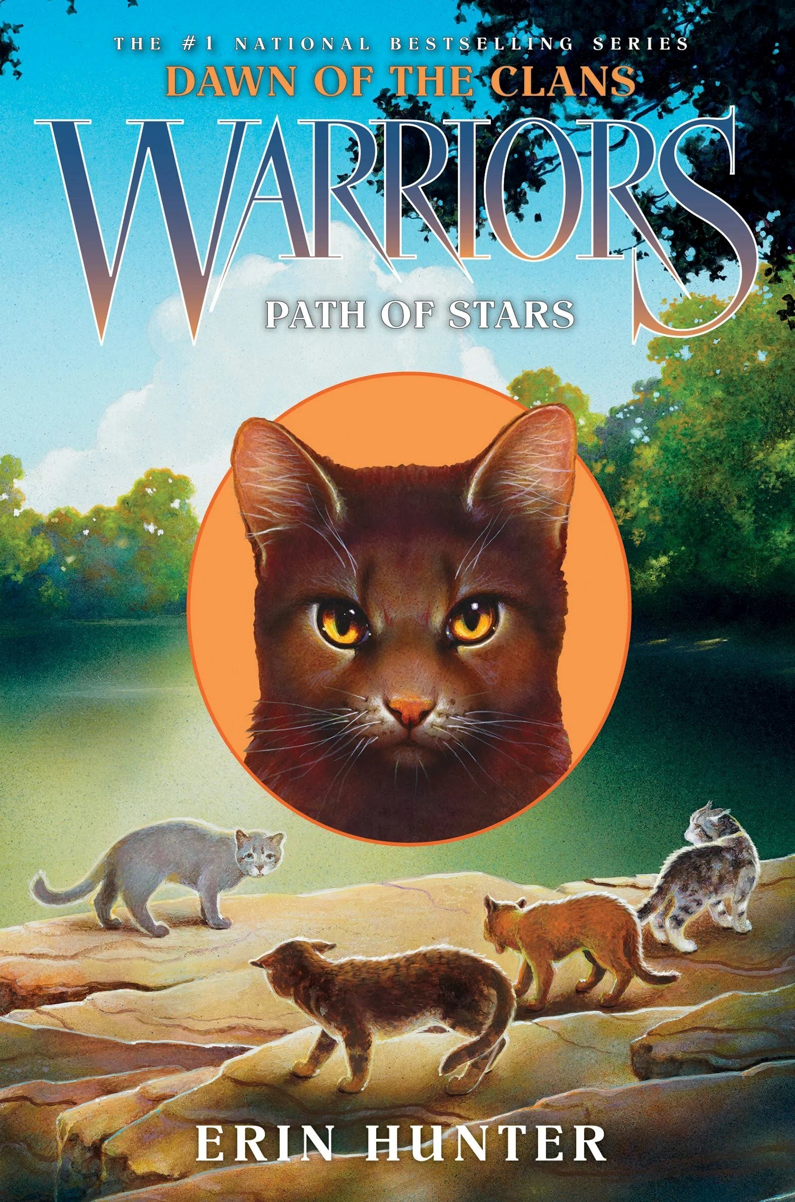 warriors secrets of the clans warriors secrets of the clans