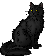 Graystripe.warrior