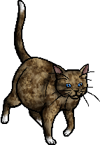 Owl Feather Warrior Cats Owl Feather Warrior Cats