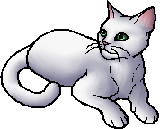 Warrior Cats Sign Of The Moon Warrior Cats Sign Of The Moon