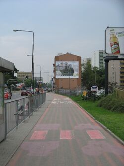 Gorczewska-sciezka.jpg