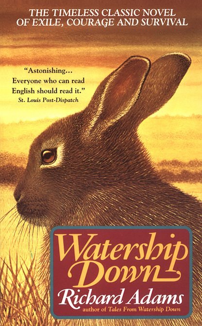 Image result for watership down