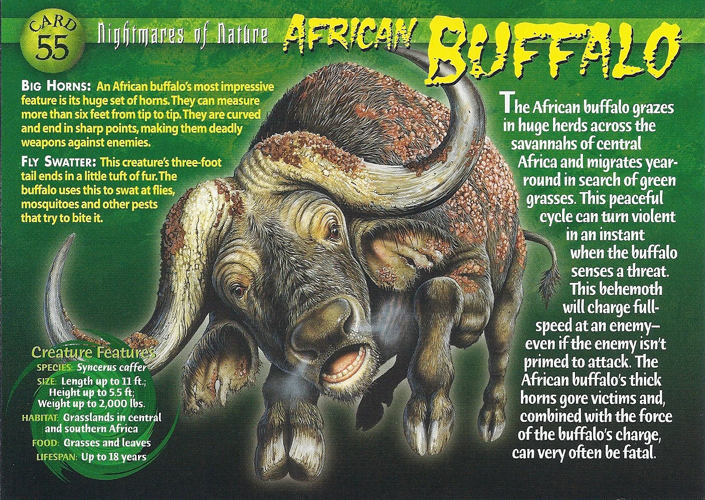 African Buffalo | Wierd N'wild Creatures Wiki | FANDOM powered by Wikia