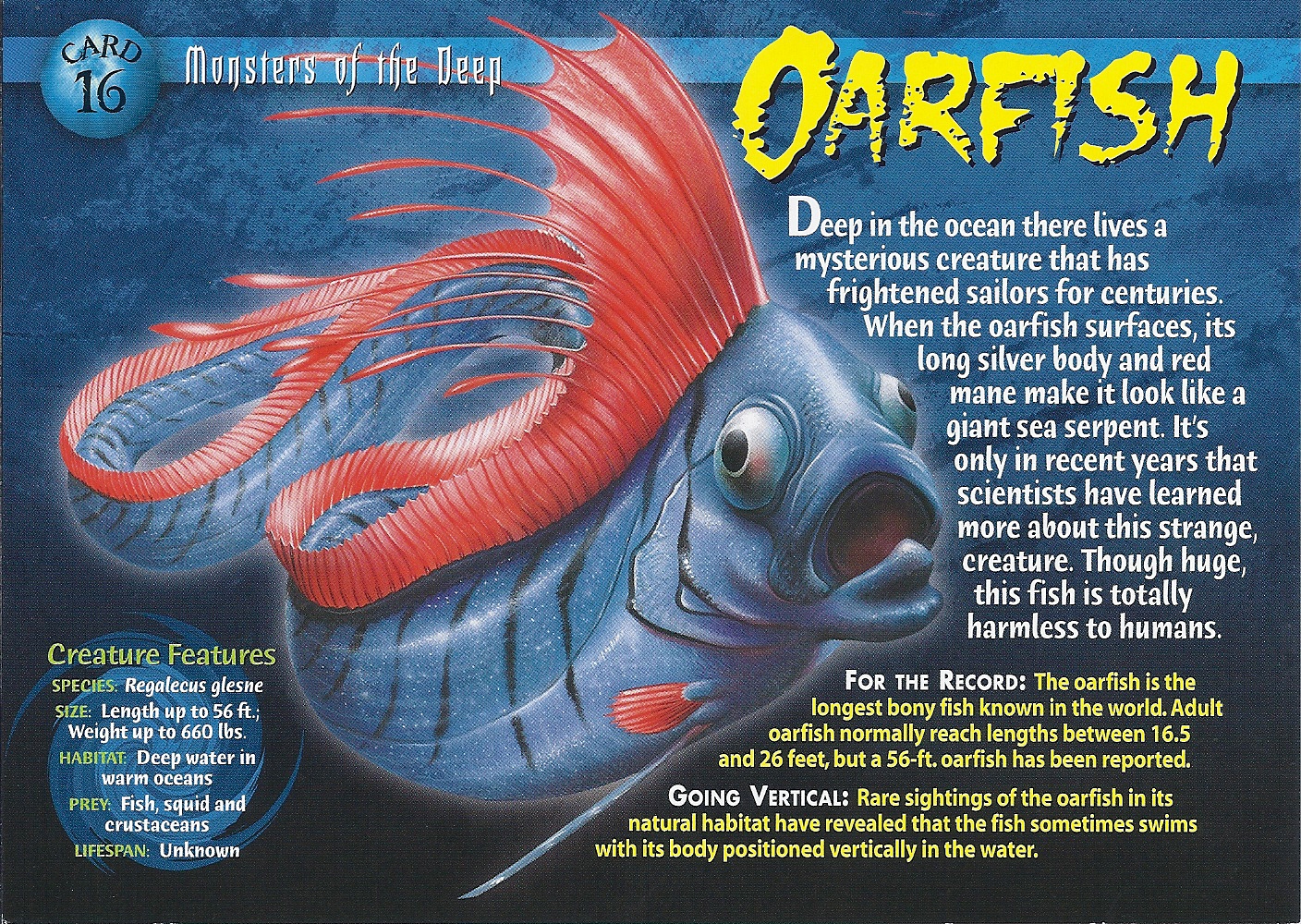 Fish facts