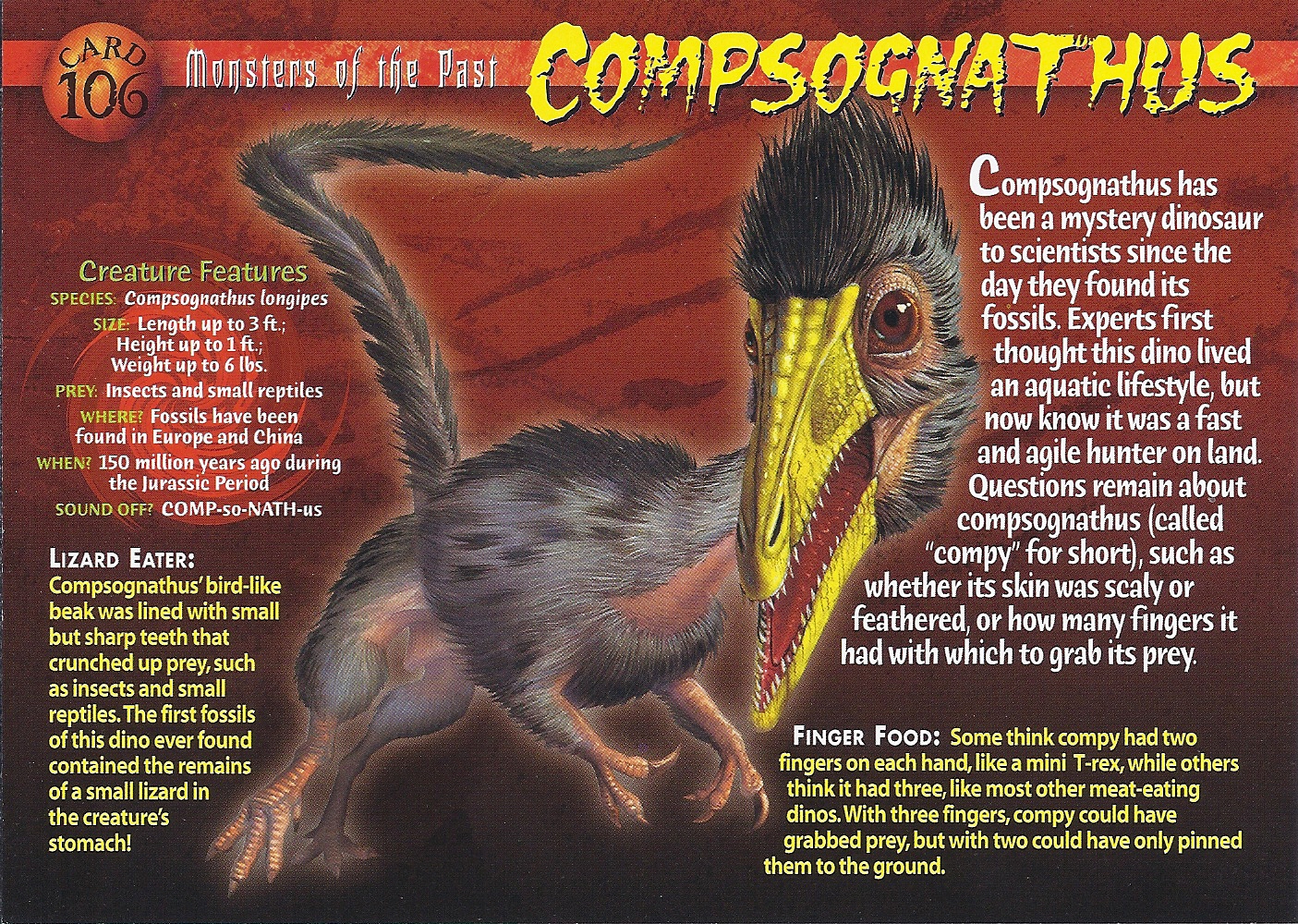 http://vignette3.wikia.nocookie.net/wierdnwildcreatures/images/4/45/Compsognathus_front.jpg/revision/latest?cb=20130828020914