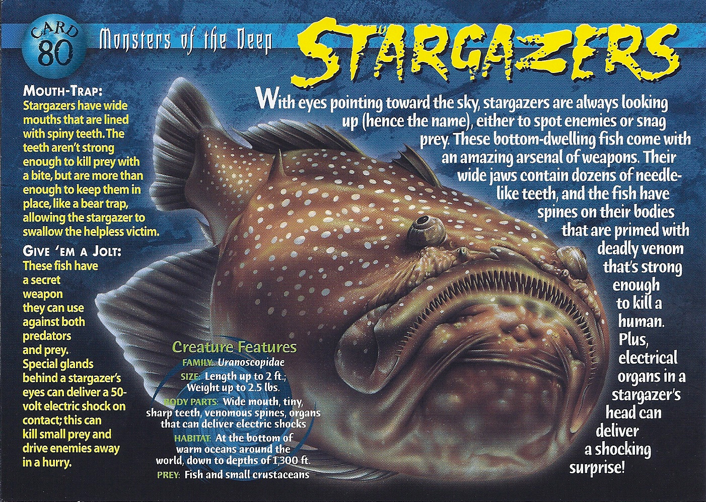 Fish facts