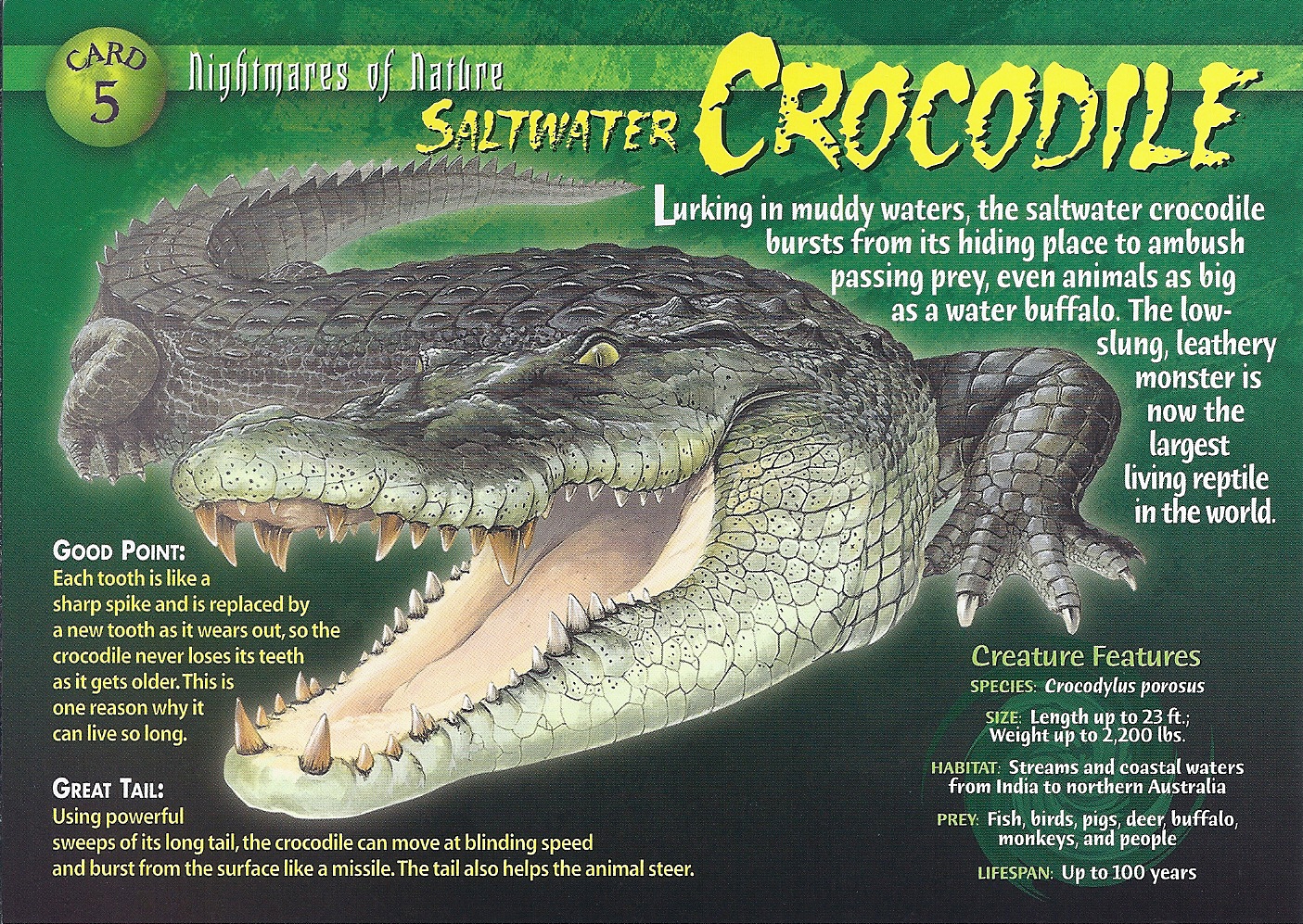 n scale crocodile