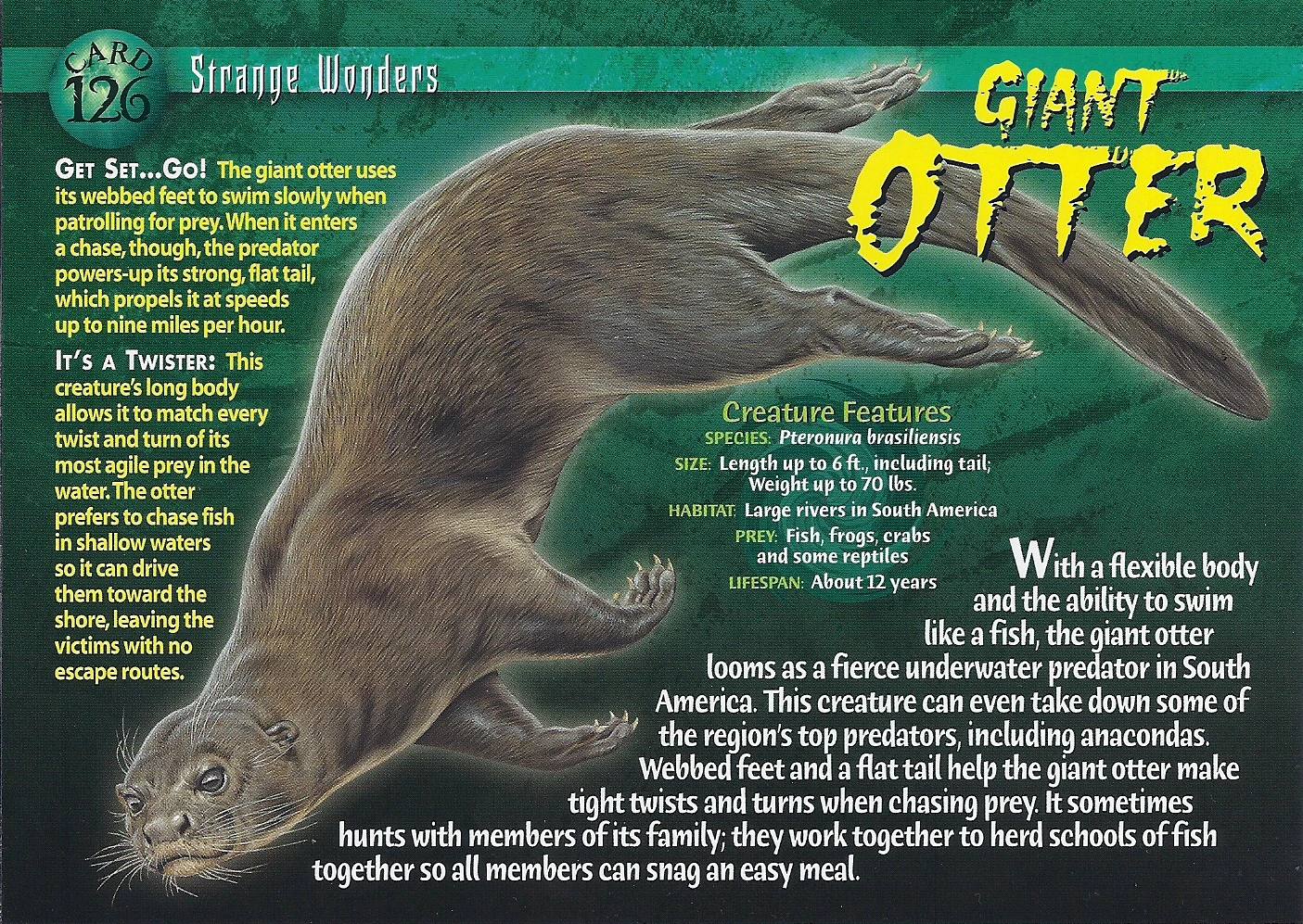 Giant Otter | Wierd N'wild Creatures Wiki | FANDOM powered by Wikia