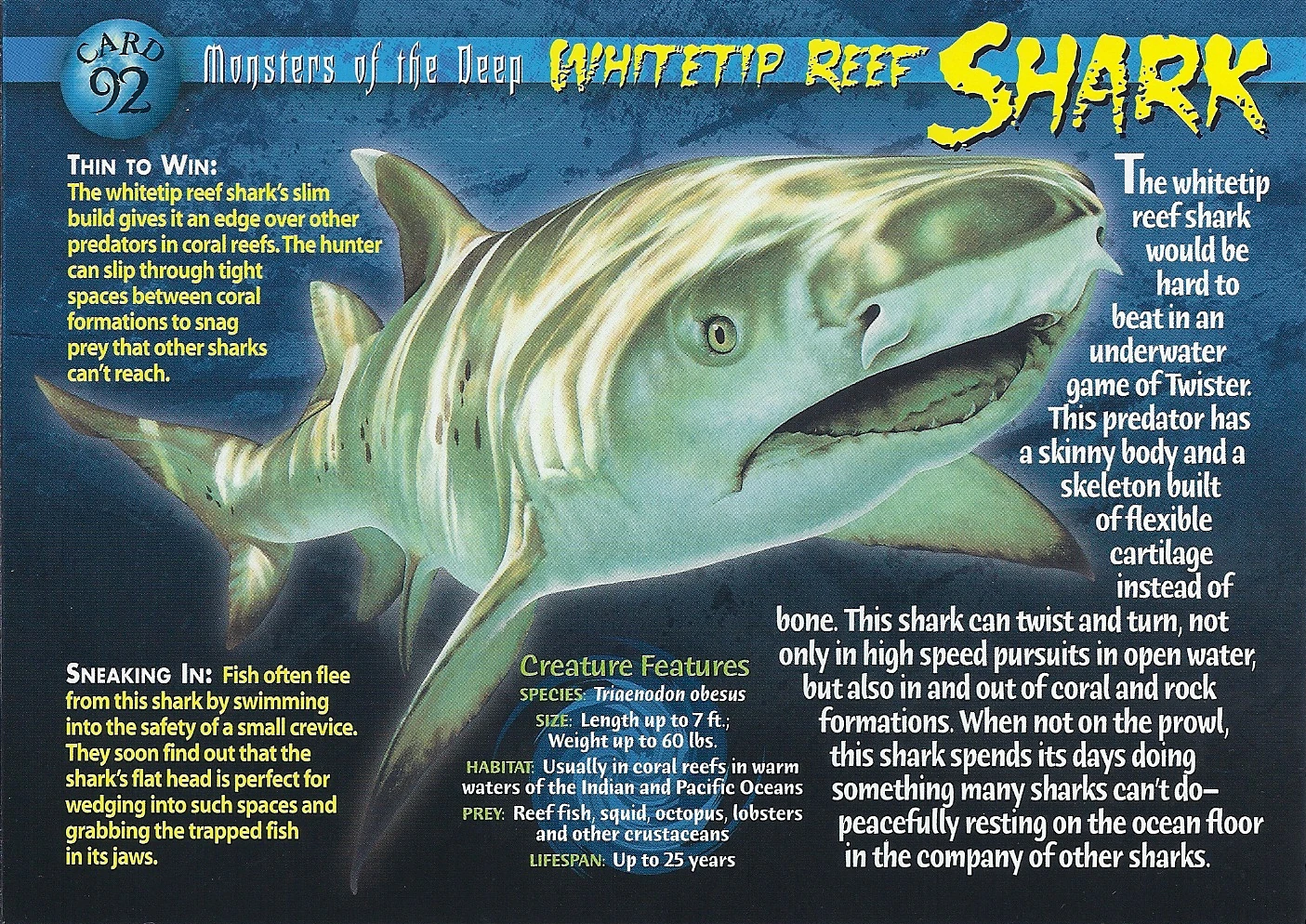 Whitetip Reef Shark | Wierd N'wild Creatures Wiki | Fandom powered by Wikia