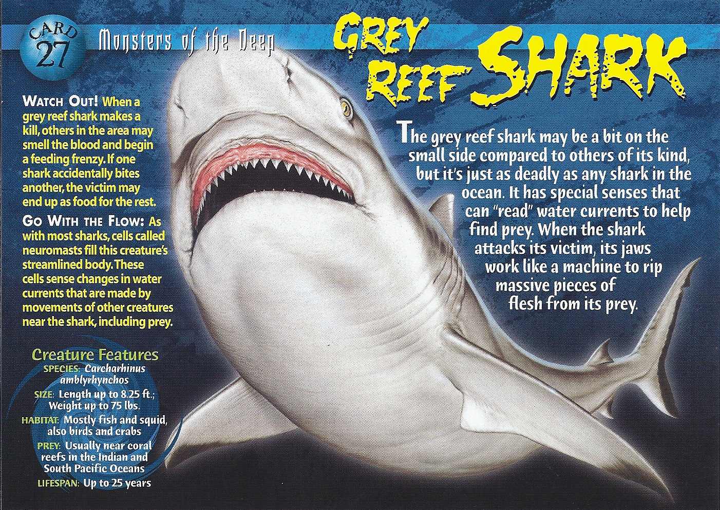 Hunting Shark 2023: Hungry Sea Monster instal the new for windows Hunting Shark 2023: Hungry Sea Monster instal the new for windows